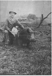 Albert Wesley Glenn