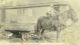 Albert Wesley Glenn